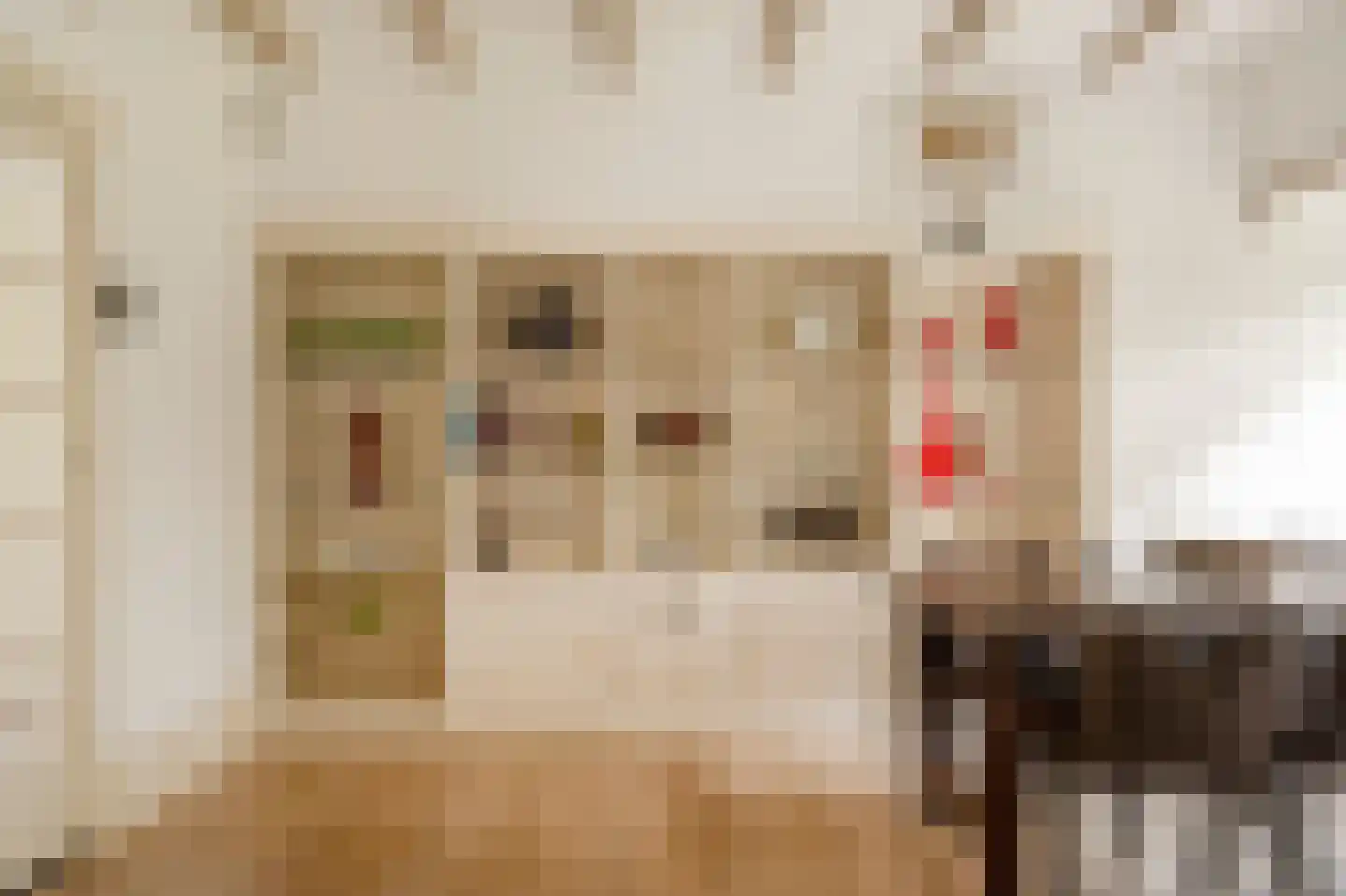 Verlengde Kerkeboslaan 4 Wassenaar thumbnail 22