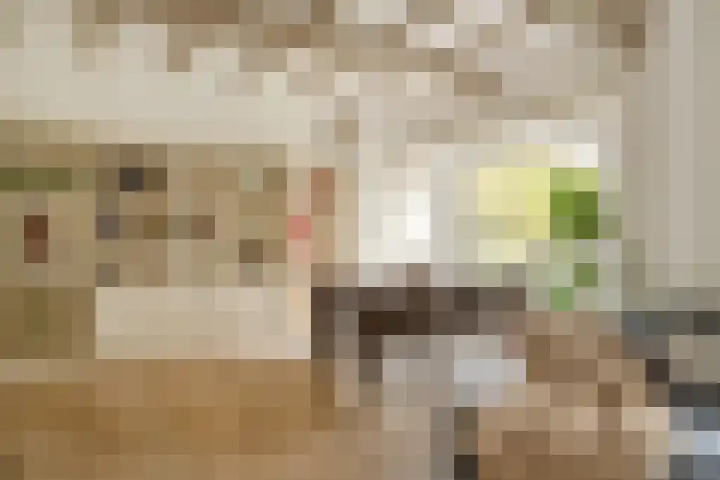 Verlengde Kerkeboslaan 4 Wassenaar thumbnail 23