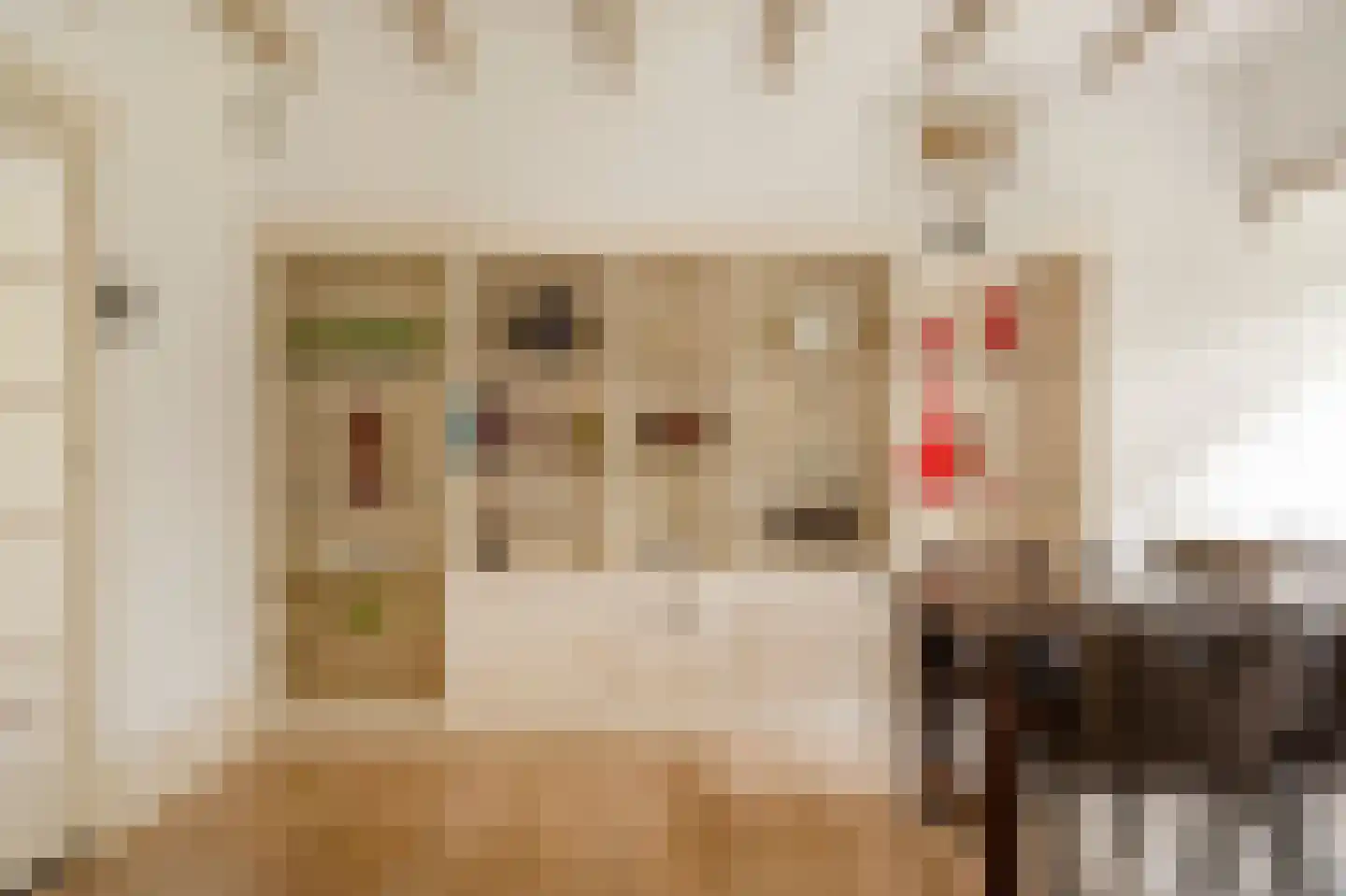 Verlengde Kerkeboslaan 4 Wassenaar thumbnail 23