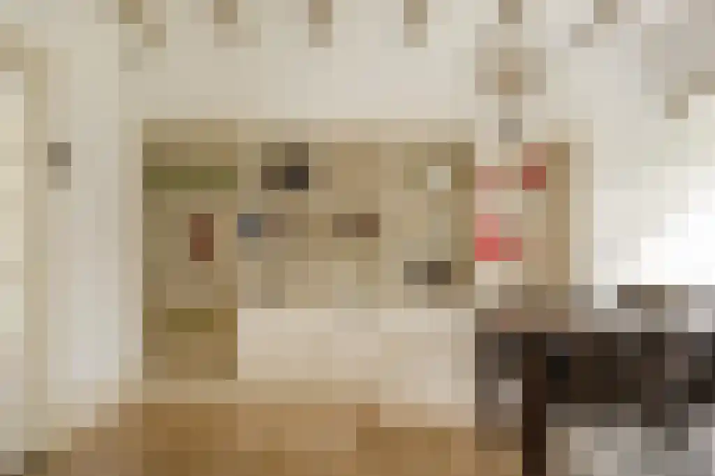 Verlengde Kerkeboslaan 4 Wassenaar thumbnail 24