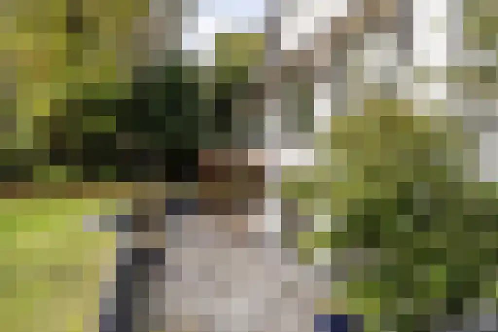 Verlengde Kerkeboslaan 4 Wassenaar thumbnail 25