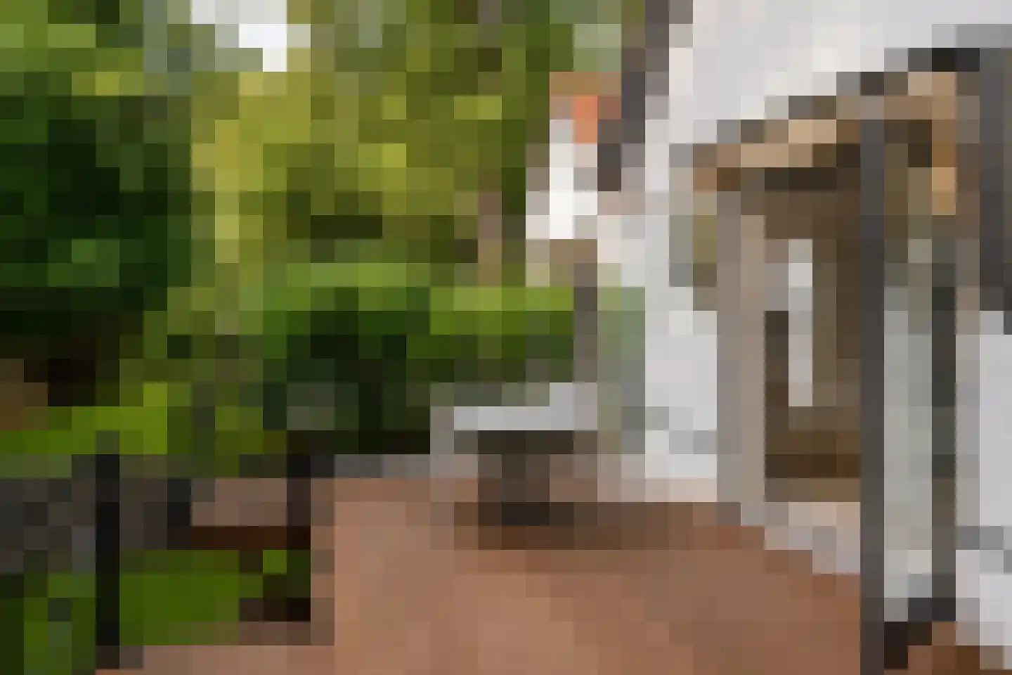 Verlengde Kerkeboslaan 4 Wassenaar thumbnail 26