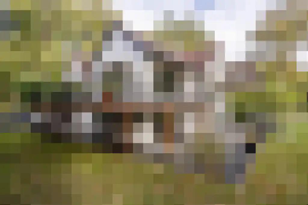 Verlengde Kerkeboslaan 4 Wassenaar thumbnail 26