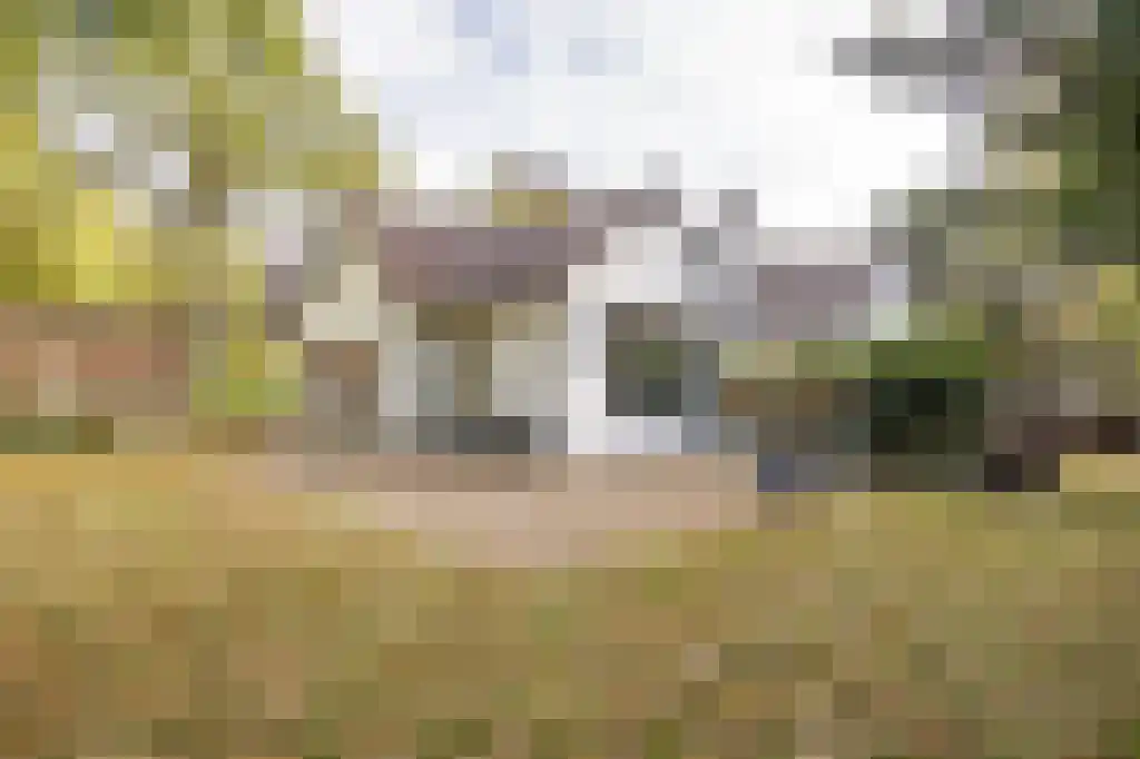 Verlengde Kerkeboslaan 4 Wassenaar thumbnail 27