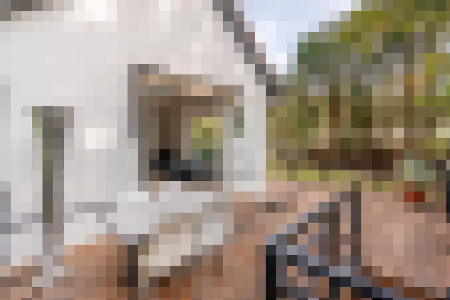 Verlengde Kerkeboslaan 4 Wassenaar thumbnail 28