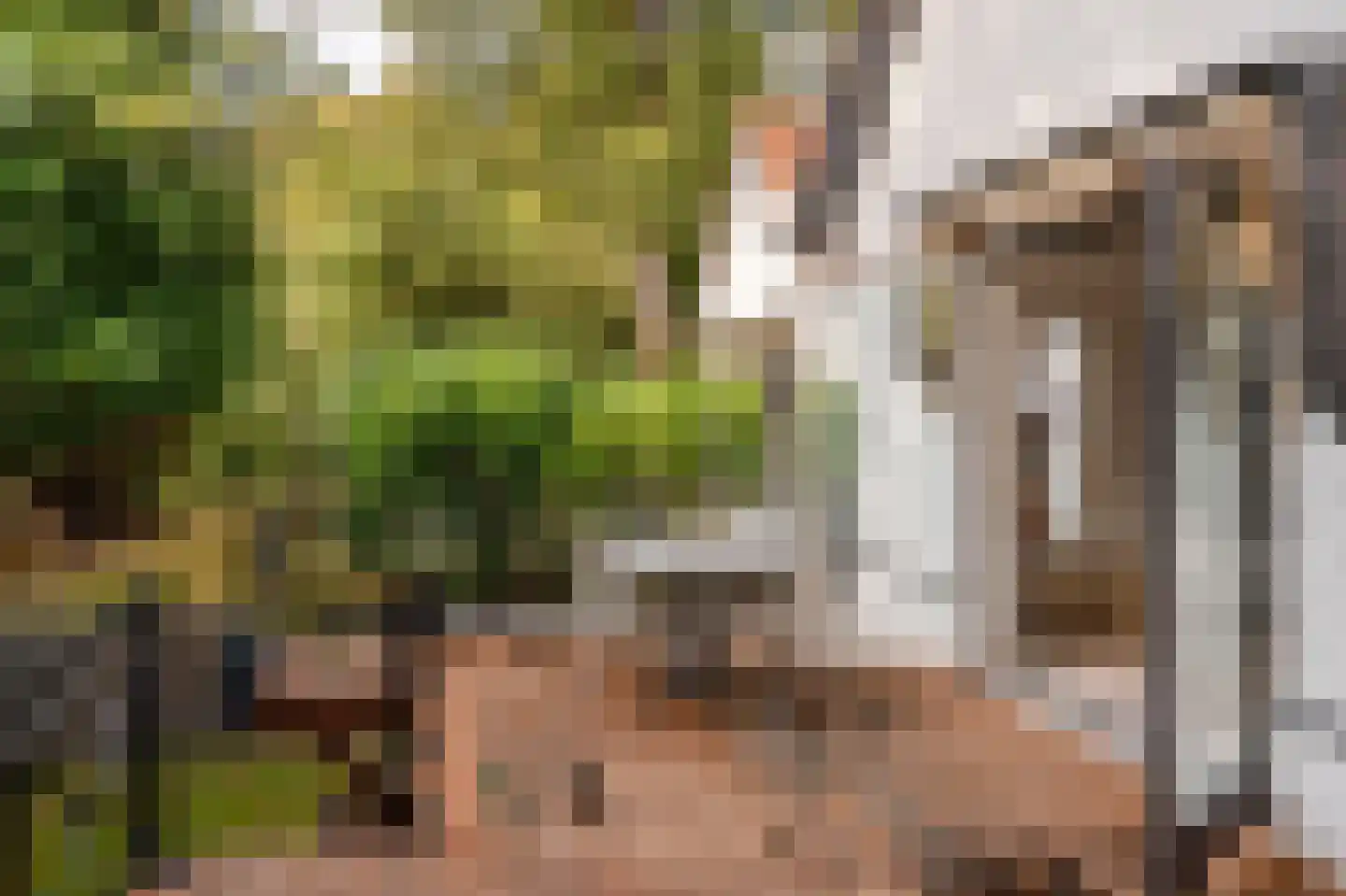 Verlengde Kerkeboslaan 4 Wassenaar thumbnail 29