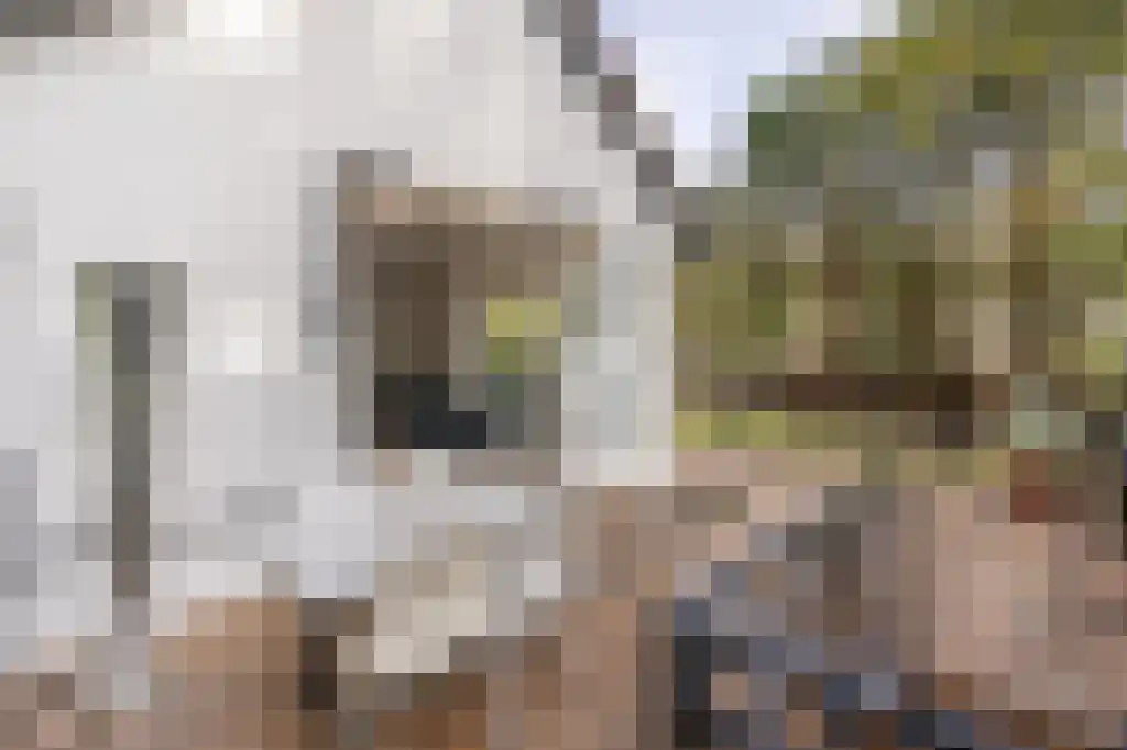 Verlengde Kerkeboslaan 4 Wassenaar thumbnail 29