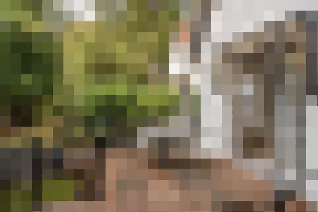 Verlengde Kerkeboslaan 4 Wassenaar thumbnail 30