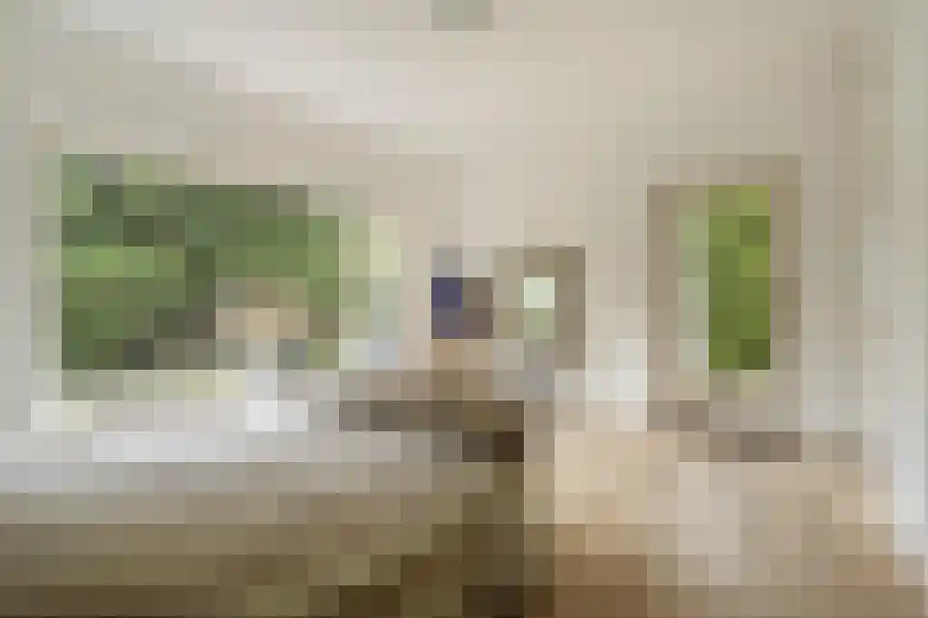 Verlengde Kerkeboslaan 4 Wassenaar thumbnail 35