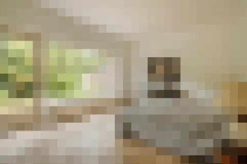 Verlengde Kerkeboslaan 4 Wassenaar thumbnail 41