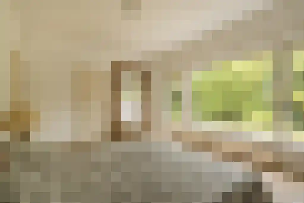 Verlengde Kerkeboslaan 4 Wassenaar thumbnail 42
