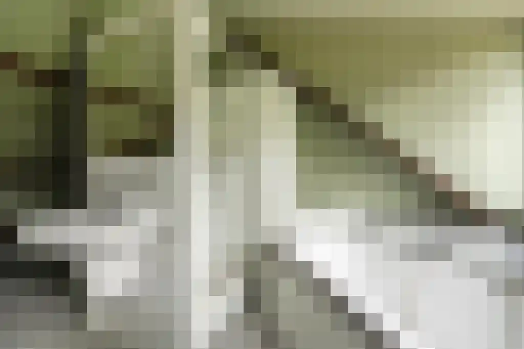Verlengde Kerkeboslaan 4 Wassenaar thumbnail 52