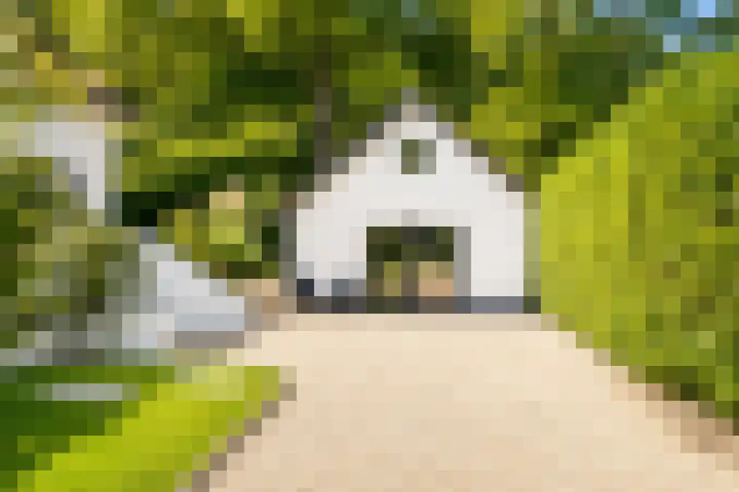 Verlengde Kerkeboslaan 4 Wassenaar thumbnail 65