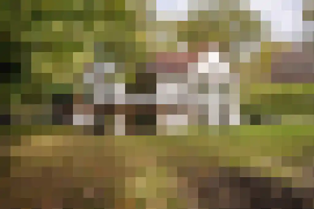 Verlengde Kerkeboslaan 4 Wassenaar thumbnail 7