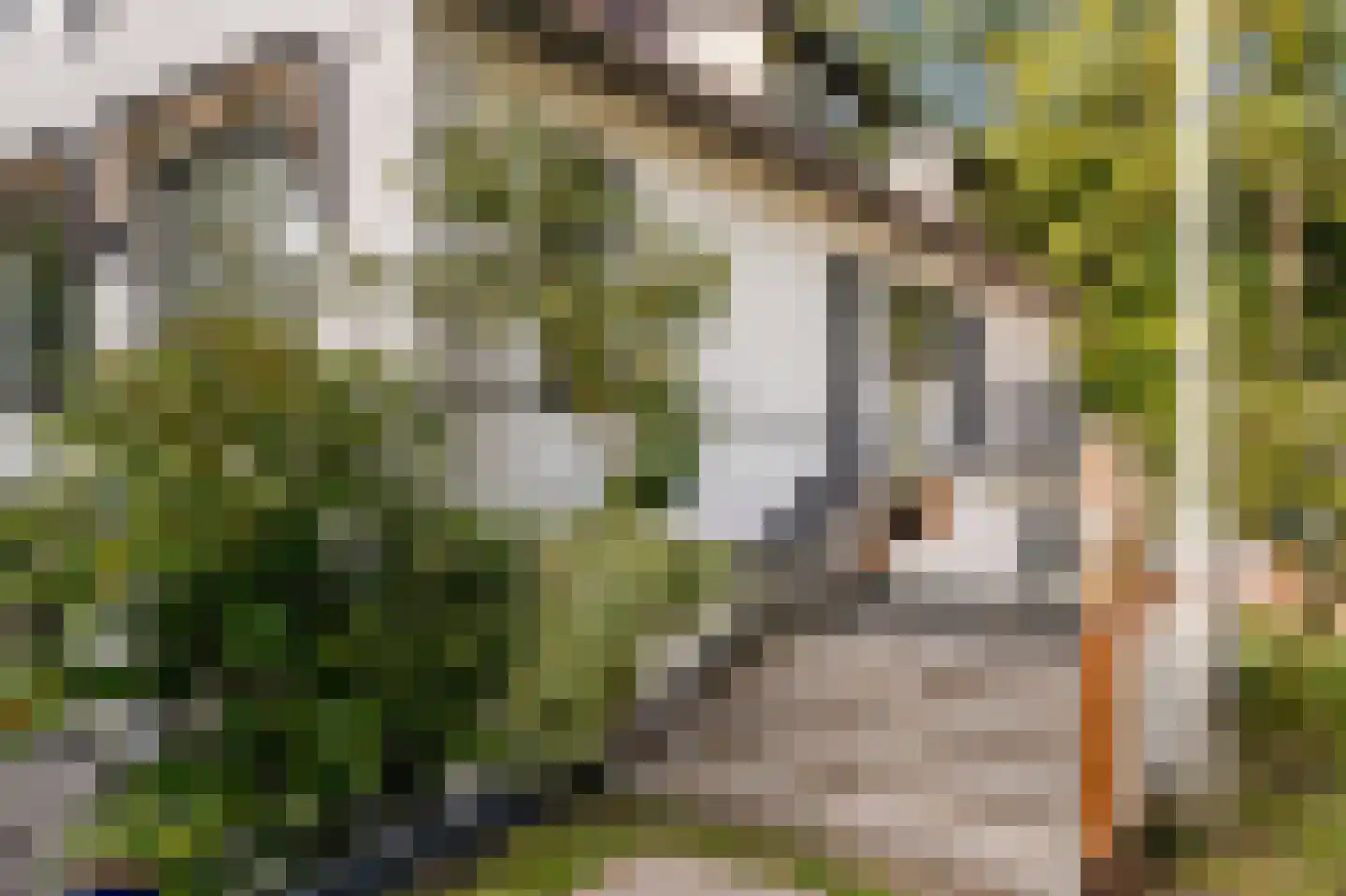 Verlengde Kerkeboslaan 4 Wassenaar thumbnail 8
