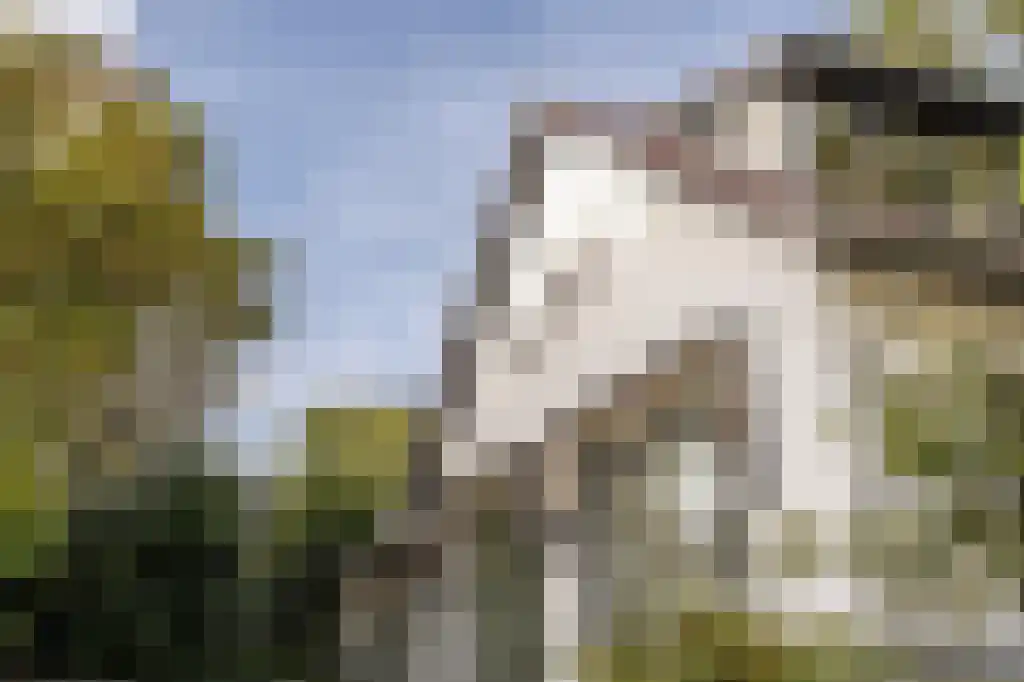 Verlengde Kerkeboslaan 4 Wassenaar thumbnail 8