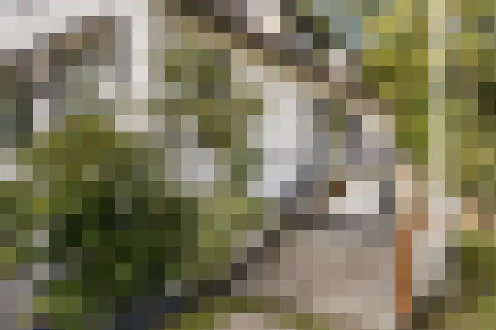 Verlengde Kerkeboslaan 4 Wassenaar thumbnail 9