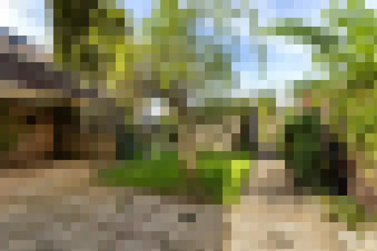 Verlengde Kerkweg 2 Wezep thumbnail 21