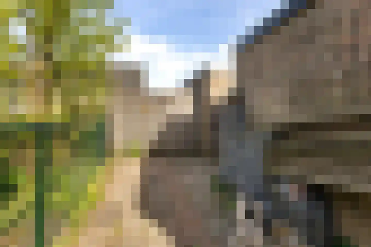 Verlengde Kerkweg 2 Wezep thumbnail 25