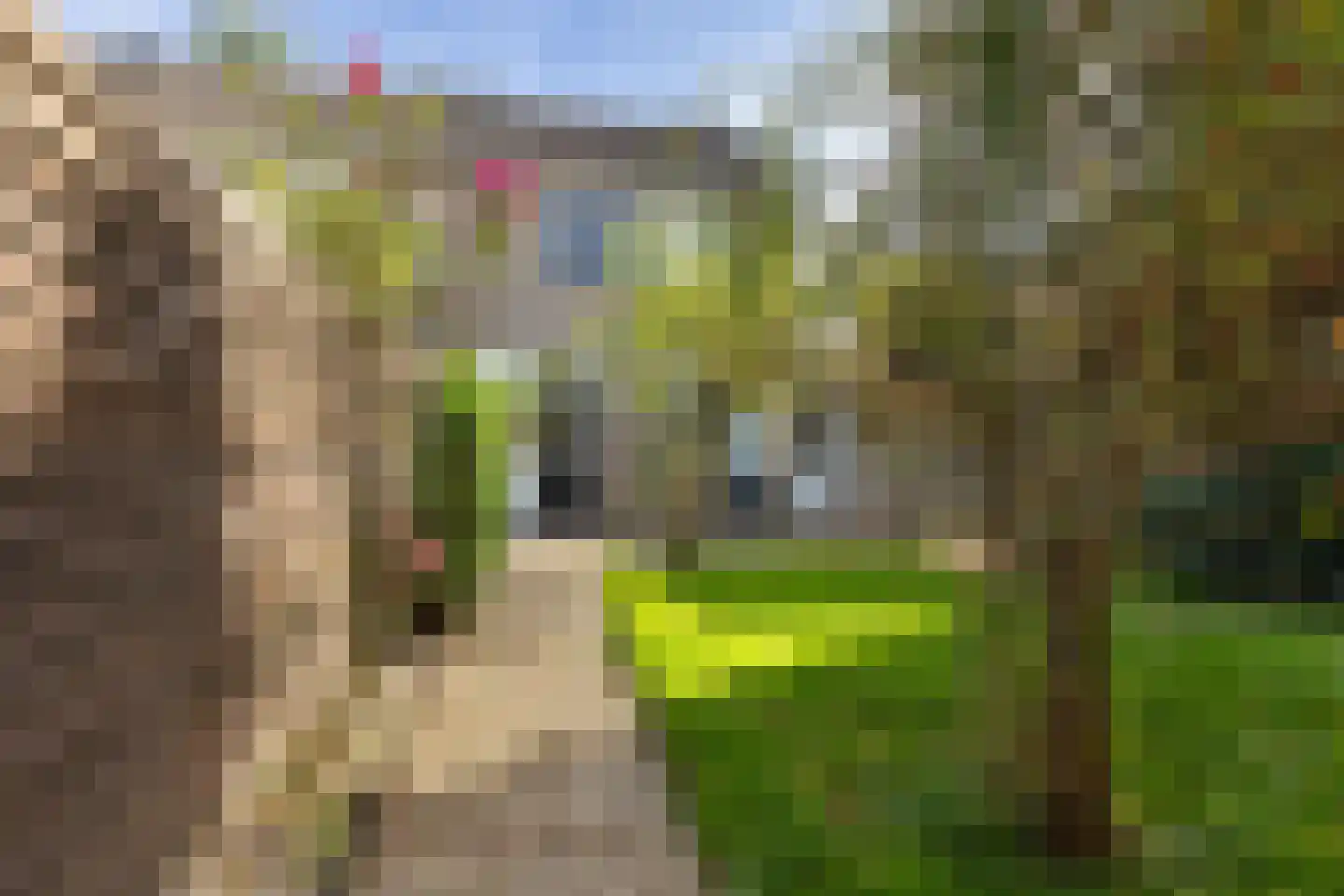 Verlengde Kerkweg 2 Wezep thumbnail 26