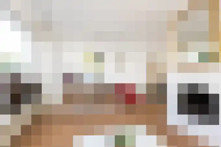 Verlengde Kerkweg 29 Wezep thumbnail 11