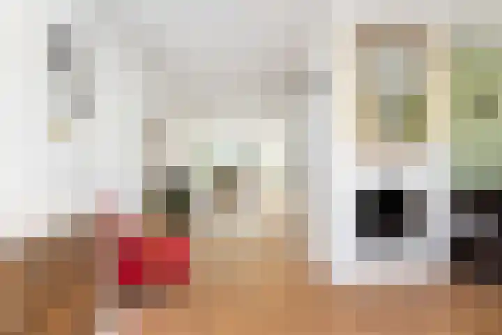 Verlengde Kerkweg 29 Wezep thumbnail 12