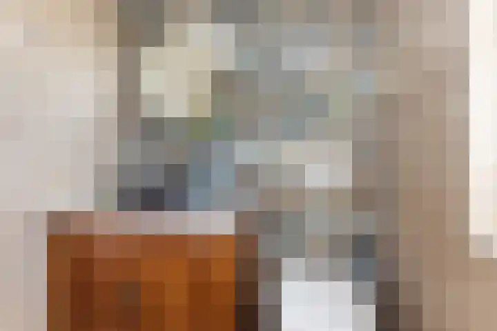 Verlengde Kerkweg 29 Wezep thumbnail 26
