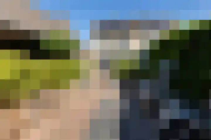 Verlengde Kerkweg 29 Wezep thumbnail 35
