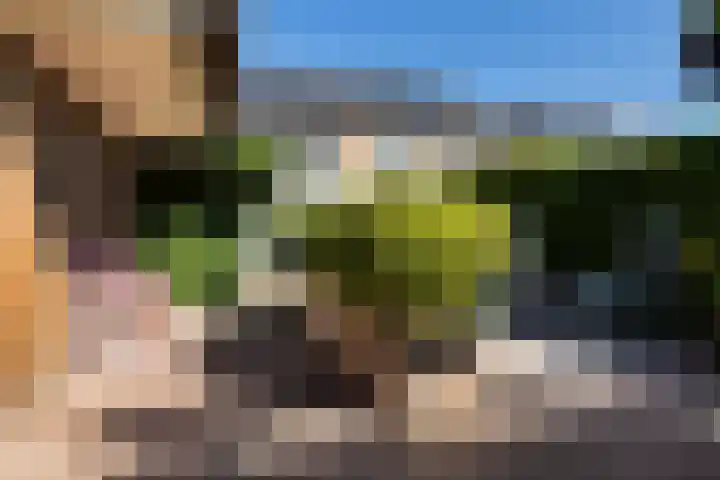 Verlengde Kerkweg 29 Wezep thumbnail 36