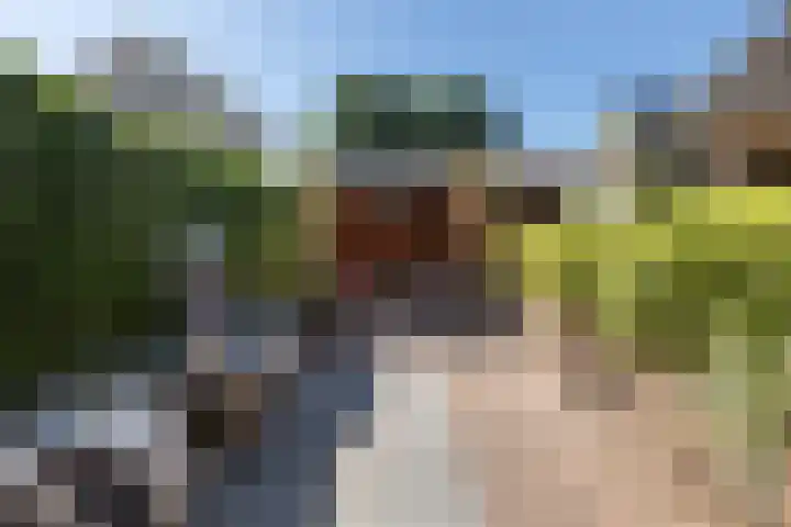 Verlengde Kerkweg 29 Wezep thumbnail 37