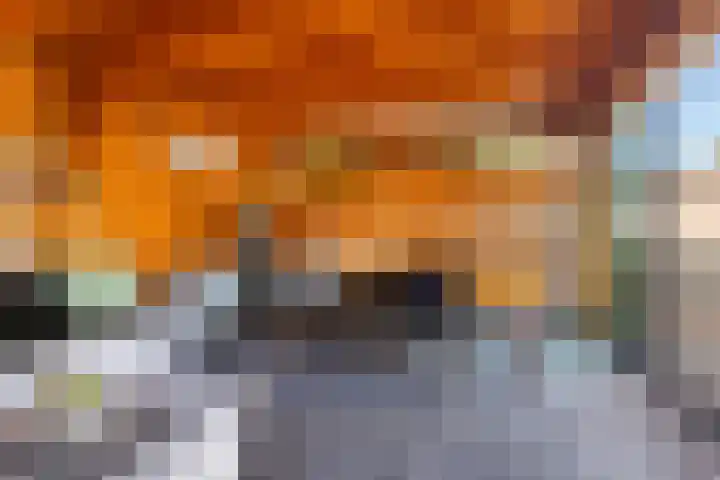 Verlengde Kerkweg 29 Wezep thumbnail 39