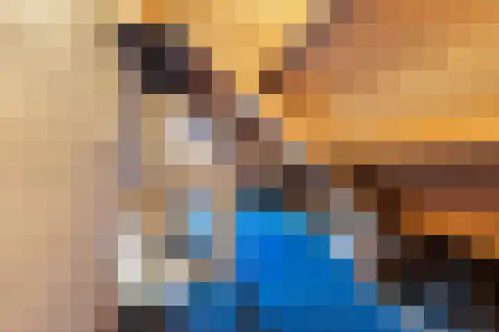 Verlengde Kerkweg 29 Wezep thumbnail 43