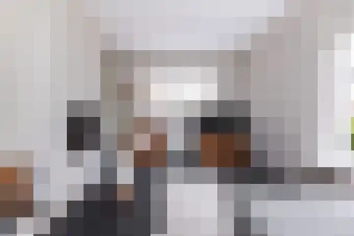 Verlengde Kerkweg 33 Wezep thumbnail 14