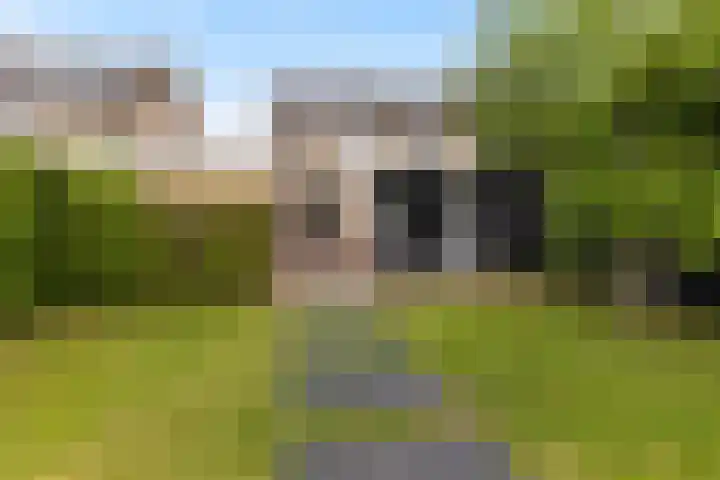 Verlengde Kerkweg 33 Wezep foto 2