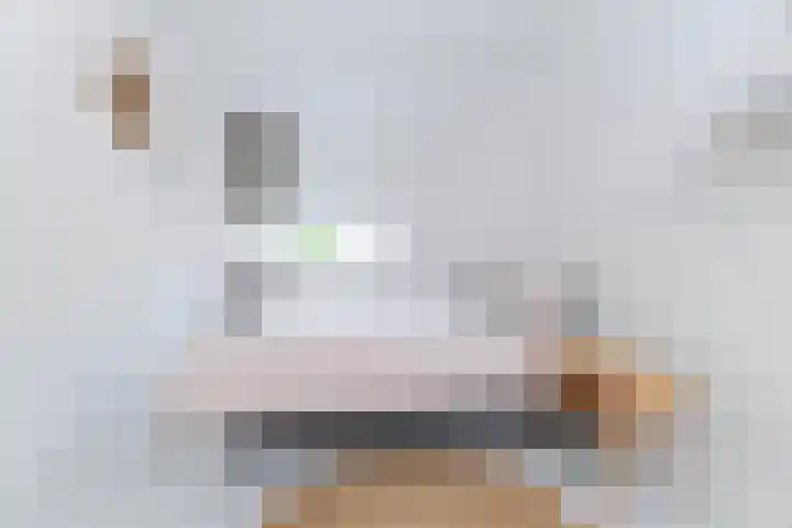 Verlengde Kerkweg 33 Wezep thumbnail 28