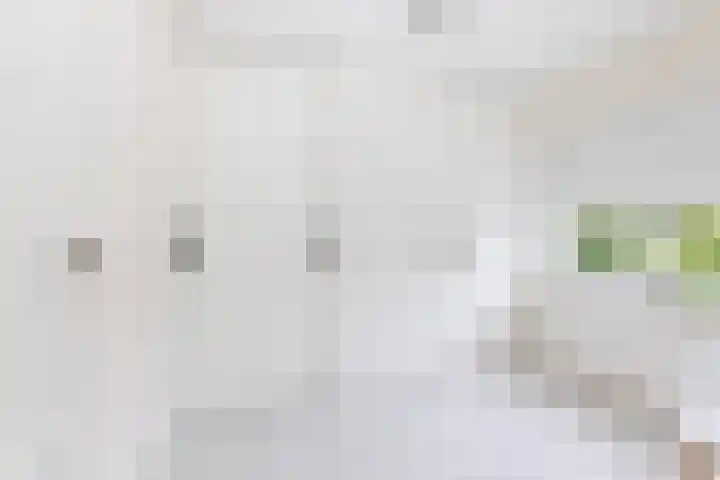 Verlengde Kerkweg 33 Wezep thumbnail 30