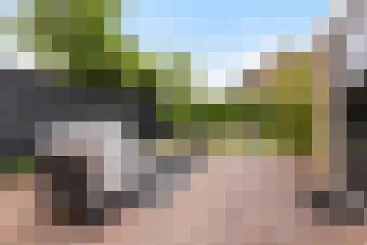 Verlengde Kerkweg 33 Wezep thumbnail 39