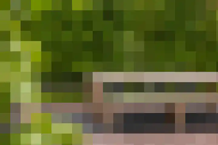 Verlengde Kerkweg 33 Wezep thumbnail 43