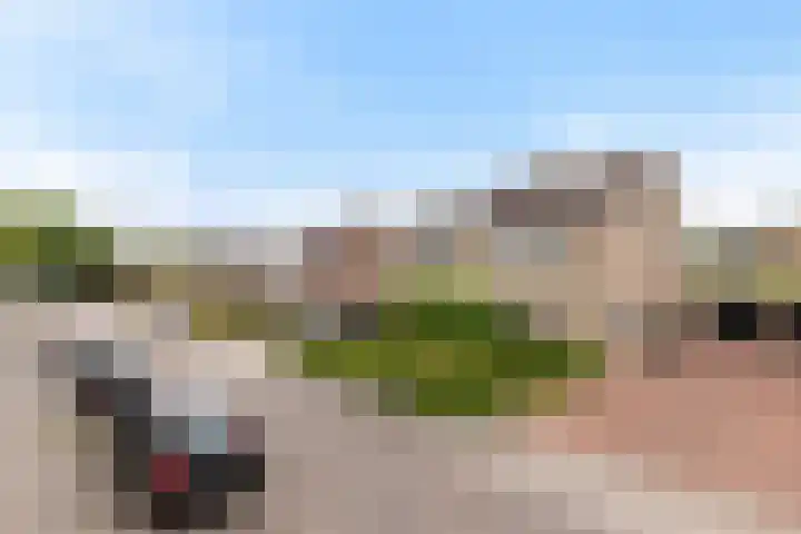 Verlengde Kerkweg 33 Wezep thumbnail 45