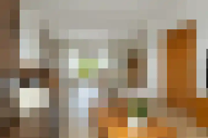 Verlengde Kerkweg 42 Hattemerbroek thumbnail 15