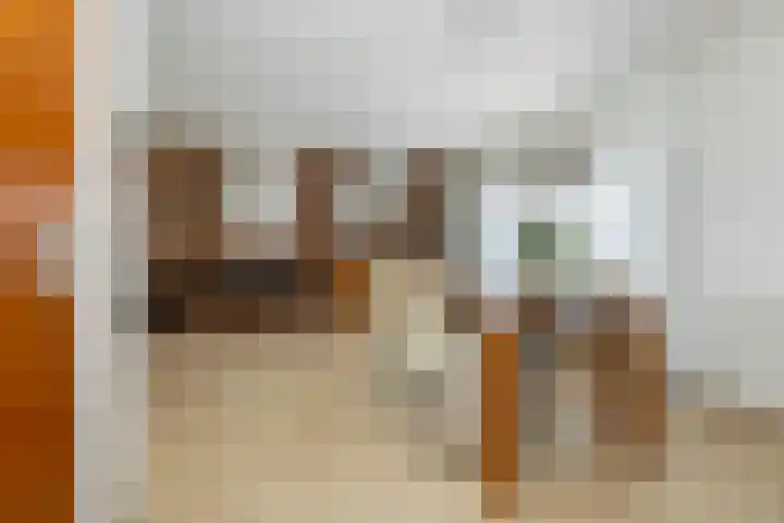 Verlengde Kerkweg 42 Hattemerbroek thumbnail 17