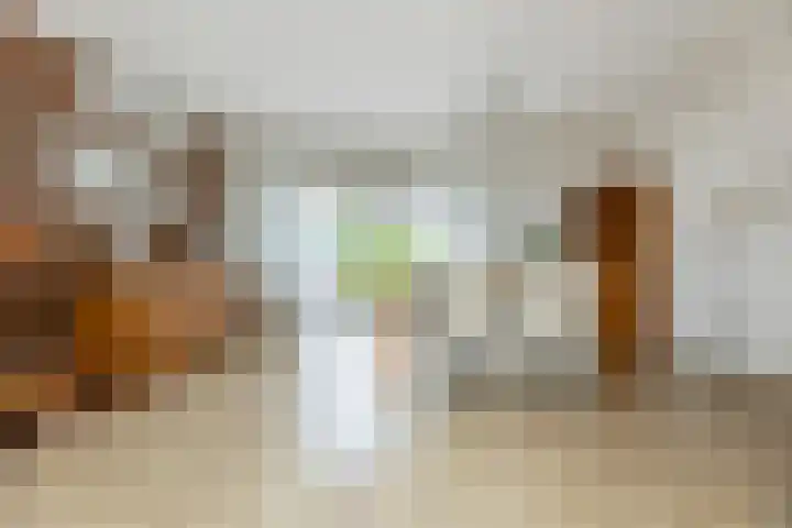 Verlengde Kerkweg 42 Hattemerbroek thumbnail 18