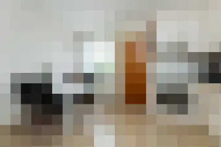 Verlengde Kerkweg 42 Hattemerbroek thumbnail 20