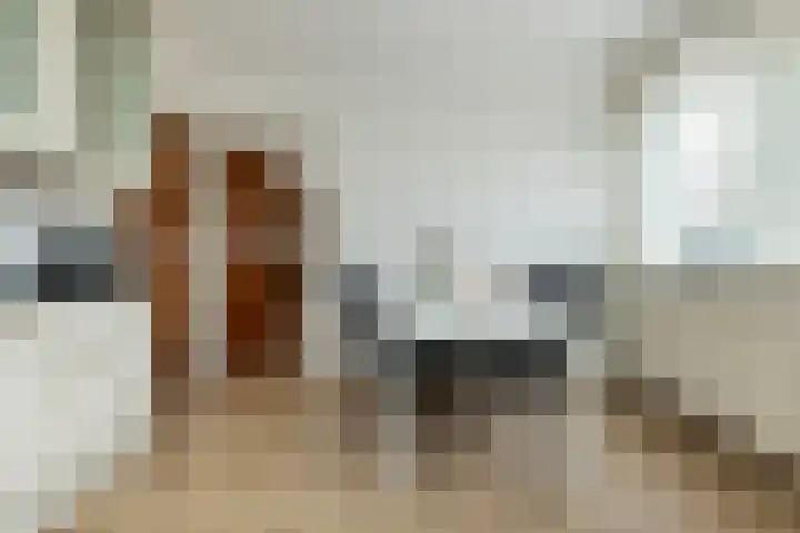 Verlengde Kerkweg 42 Hattemerbroek thumbnail 21