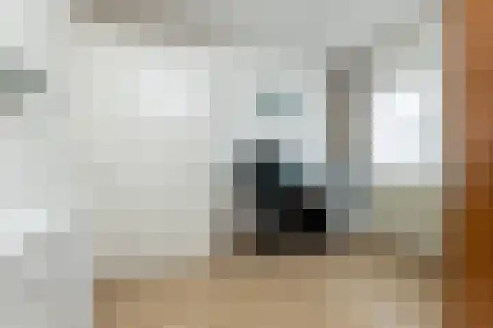 Verlengde Kerkweg 42 Hattemerbroek thumbnail 25