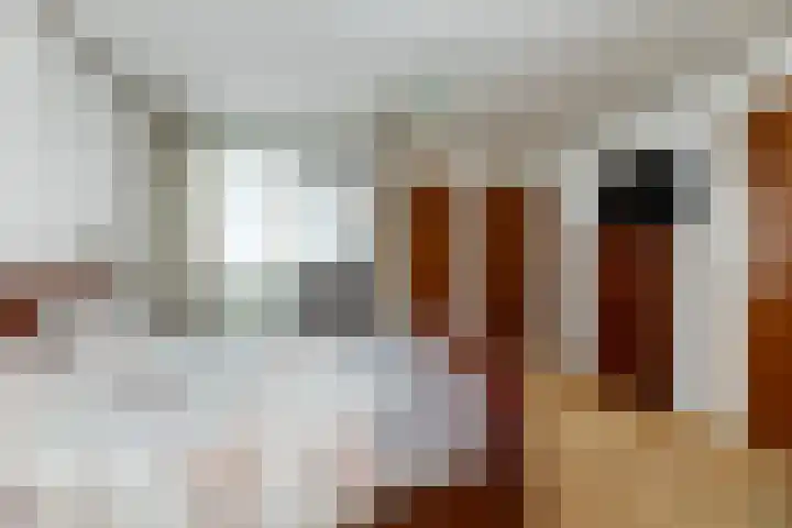 Verlengde Kerkweg 42 Hattemerbroek thumbnail 29
