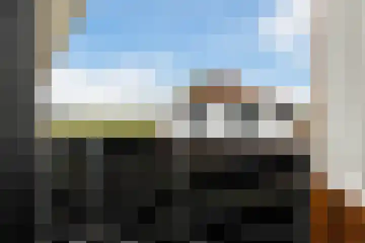 Verlengde Kerkweg 42 Hattemerbroek thumbnail 32