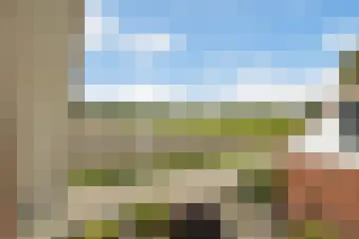 Verlengde Kerkweg 42 Hattemerbroek thumbnail 33