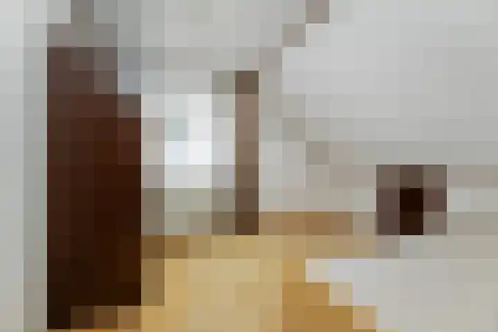 Verlengde Kerkweg 42 Hattemerbroek thumbnail 35