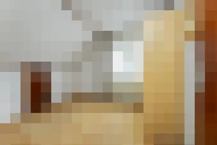 Verlengde Kerkweg 42 Hattemerbroek thumbnail 36